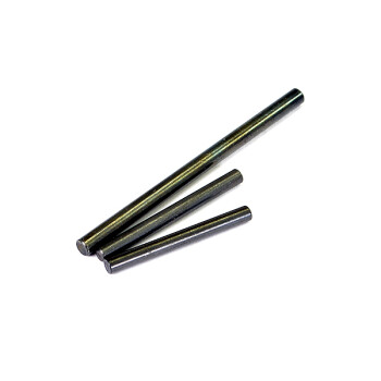 FTX - Hinge Pin Set Vantage/Carnage F/R (FTX6223)