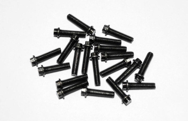 RC4WD Miniature Scale Hex Bolts (M2.5 x10mm) (Black) (Z-S0381)