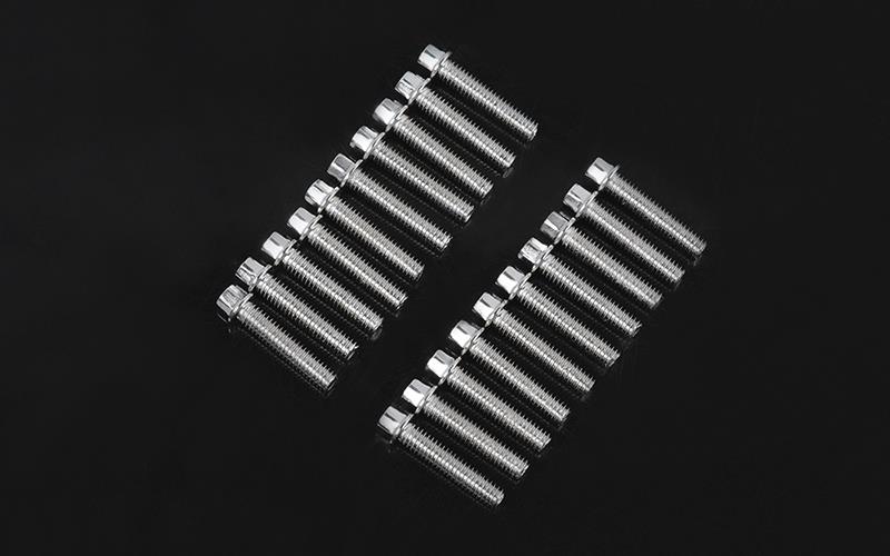 RC4WD Miniature Scale Hex Bolts (M2.5 X 12mm) (Silver) (Z-S1598)