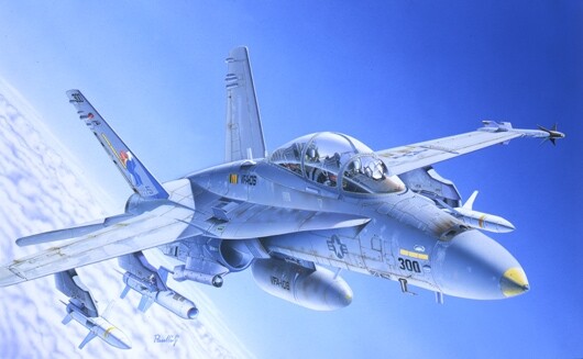 Italeri 1/72 F/A 18 Wild Weasel C/D